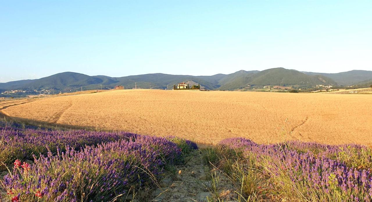 Agriturismo L'Impero Santa Luce Dış mekan fotoğraf