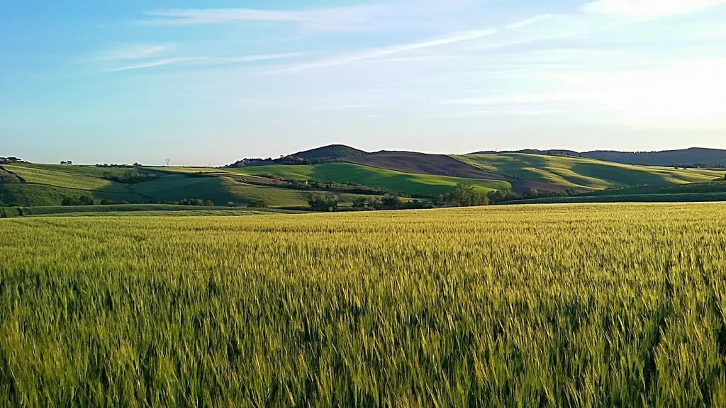 Agriturismo L'Impero Santa Luce Dış mekan fotoğraf