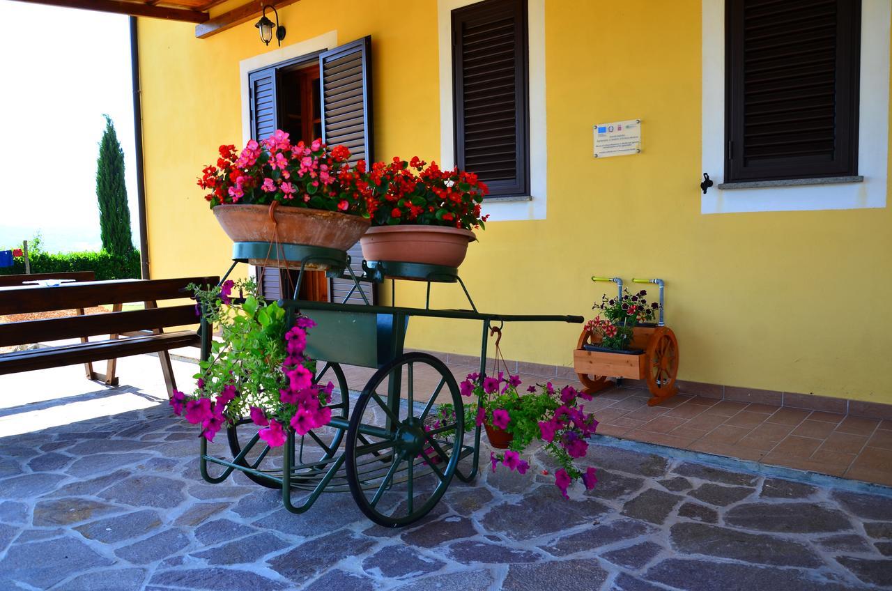 Agriturismo L'Impero Santa Luce Dış mekan fotoğraf